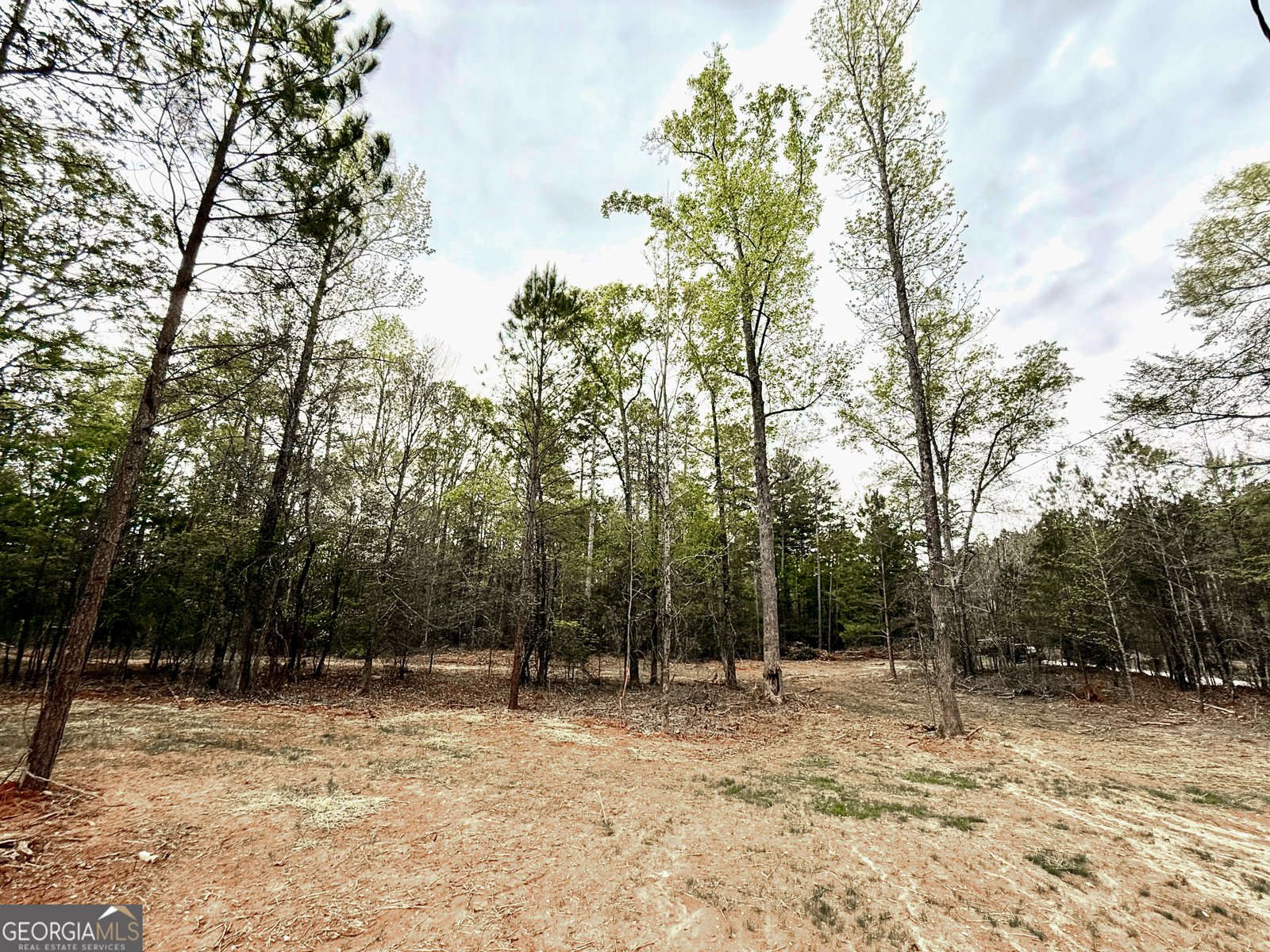 2126 Amberly Road Elberton - 102