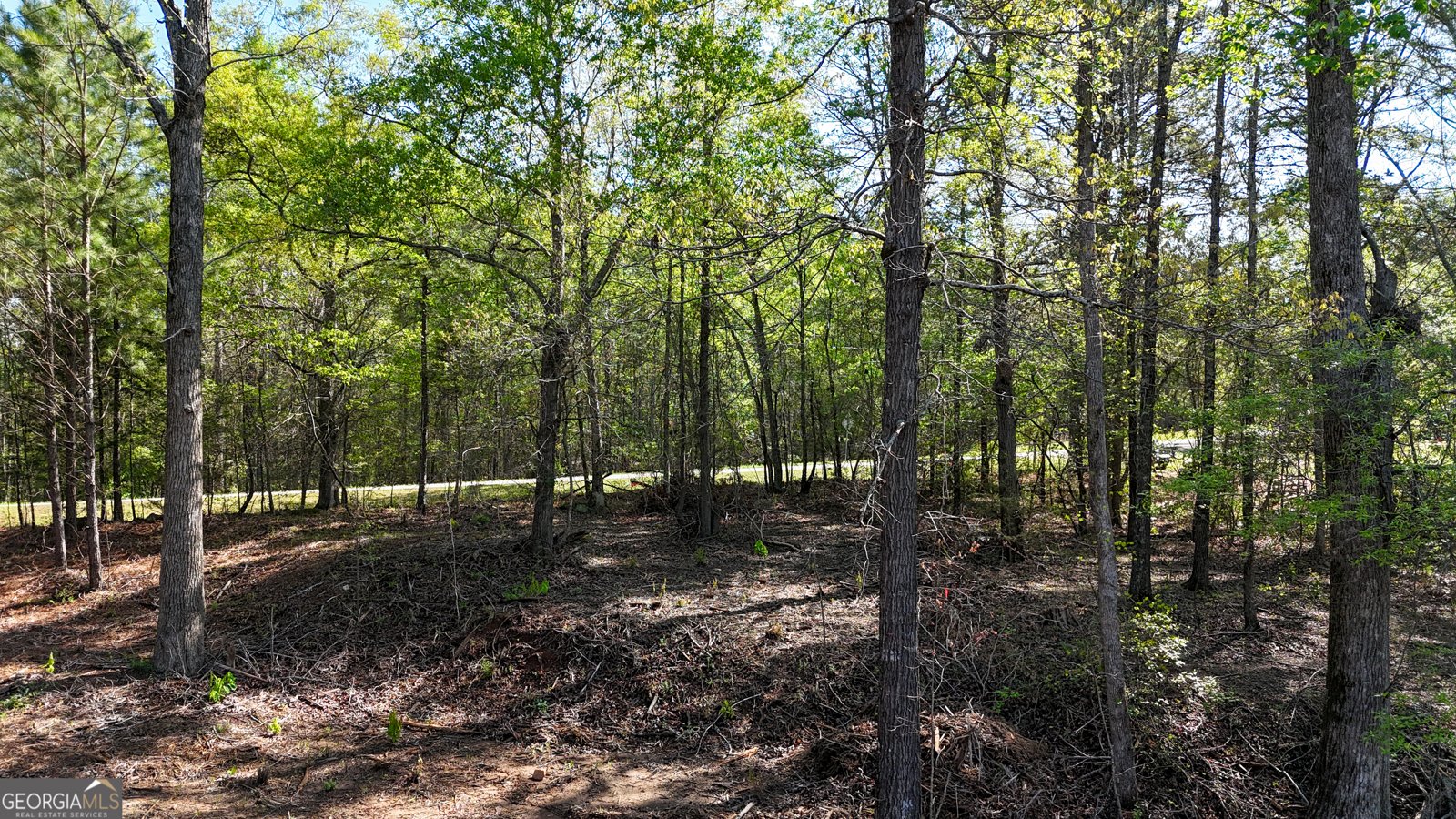 2126 Amberly Road Elberton - 4