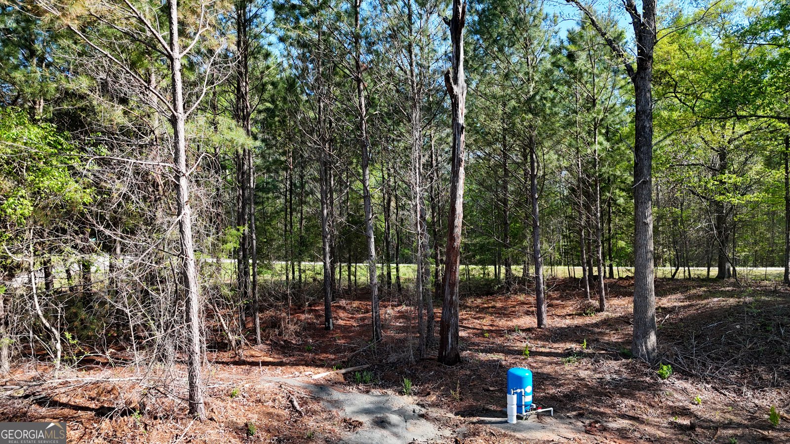 2126 Amberly Road Elberton - 5