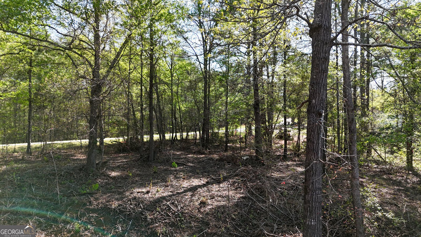 2126 Amberly Road Elberton - 6