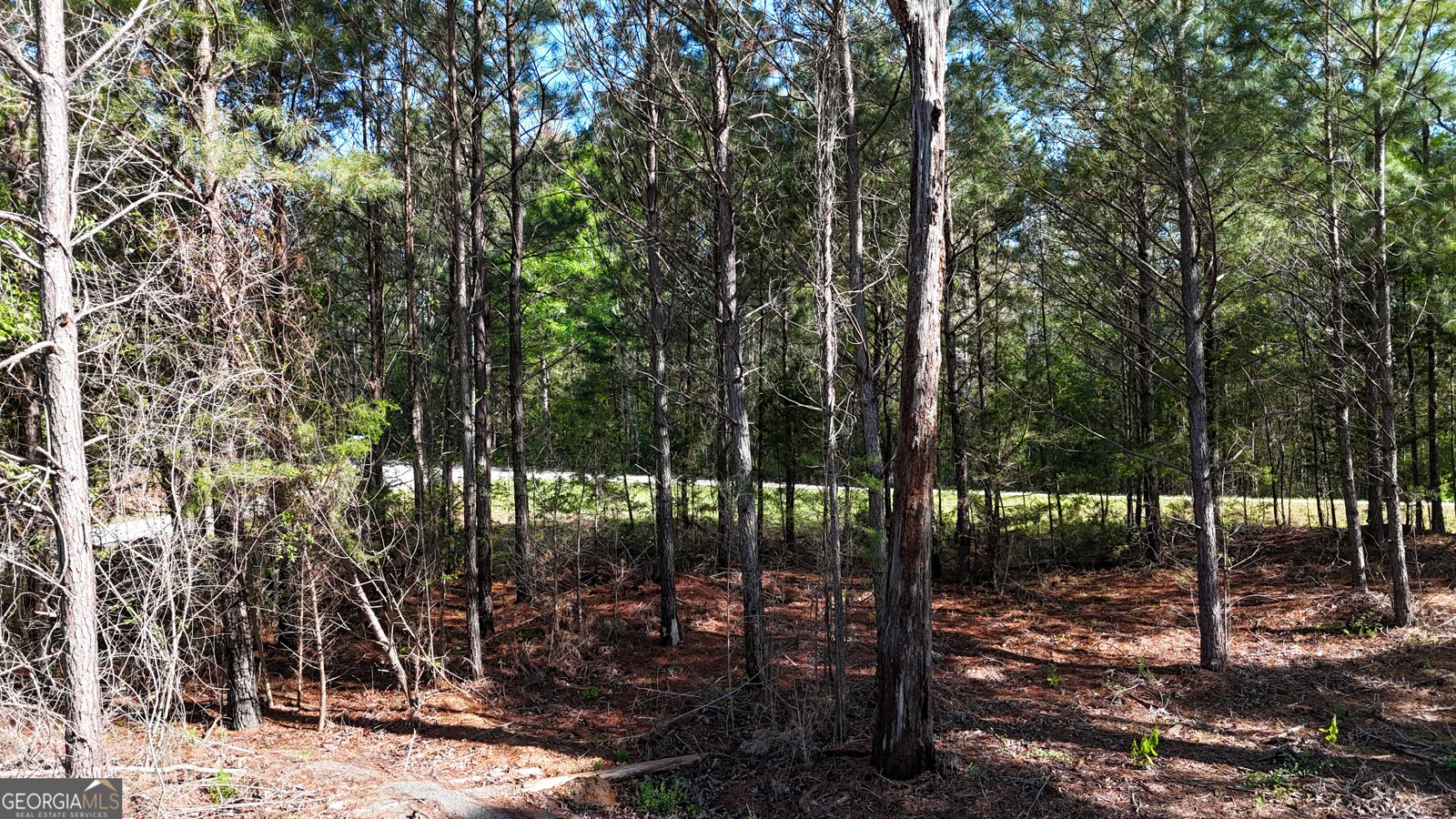 2126 Amberly Road Elberton - 7