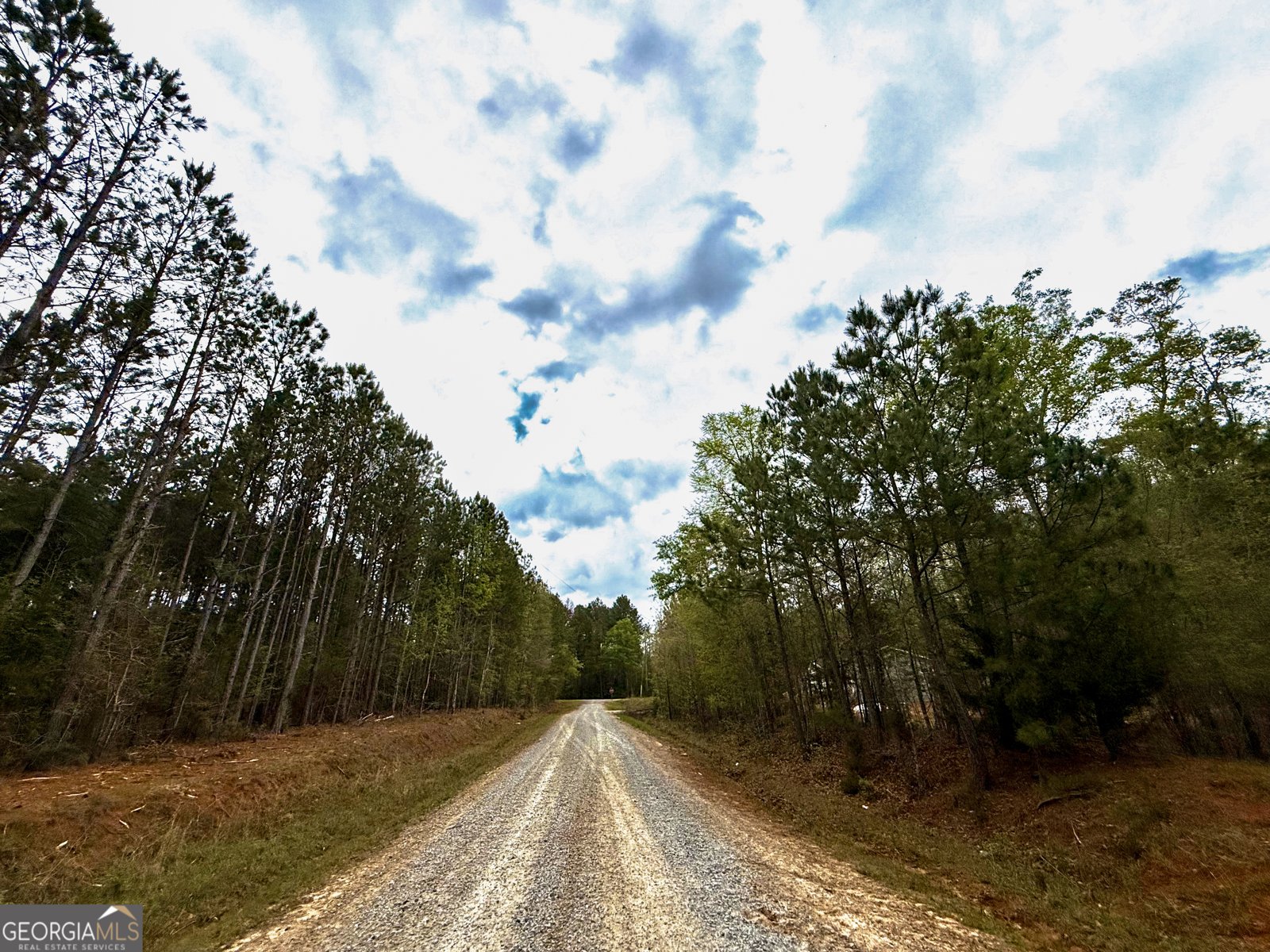 2126 Amberly Road Elberton - 99