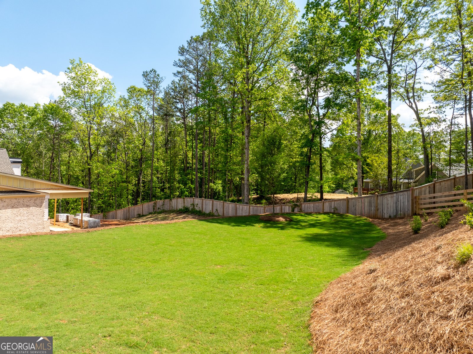326 Reese Way Ball Ground - 10
