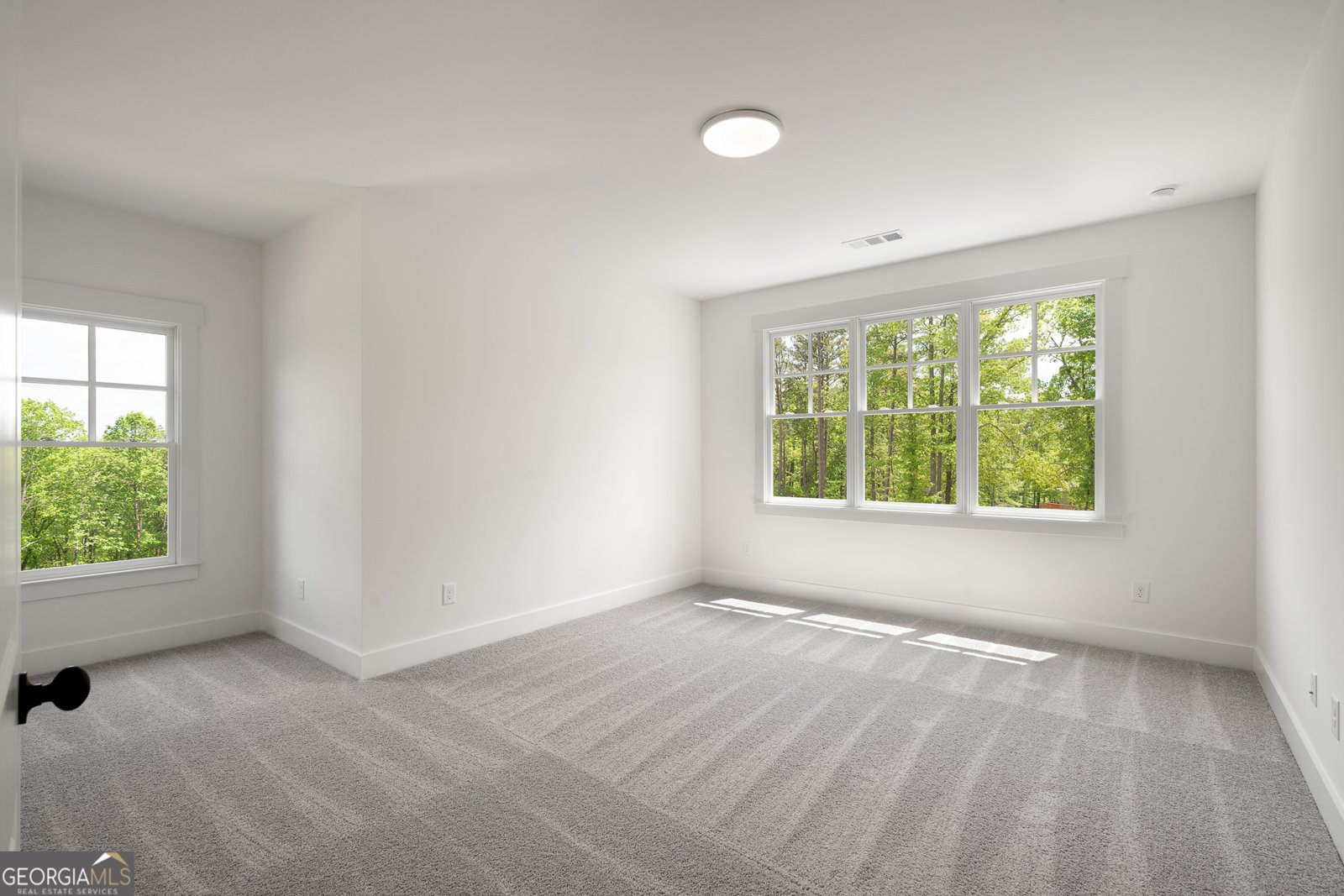 326 Reese Way Ball Ground - 8
