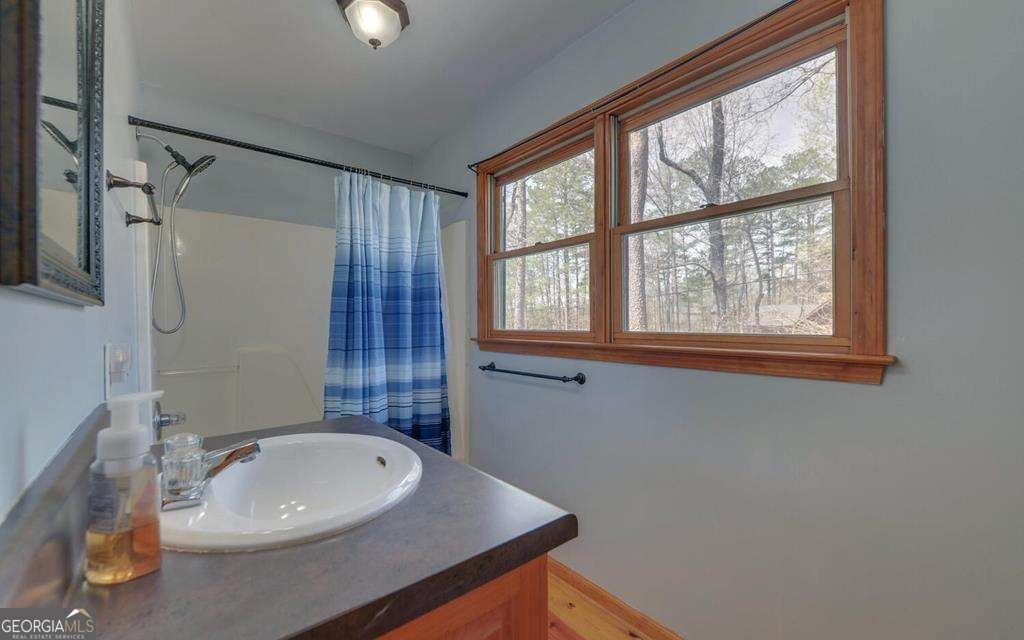 967 Lemmon Lane Ellijay - 24