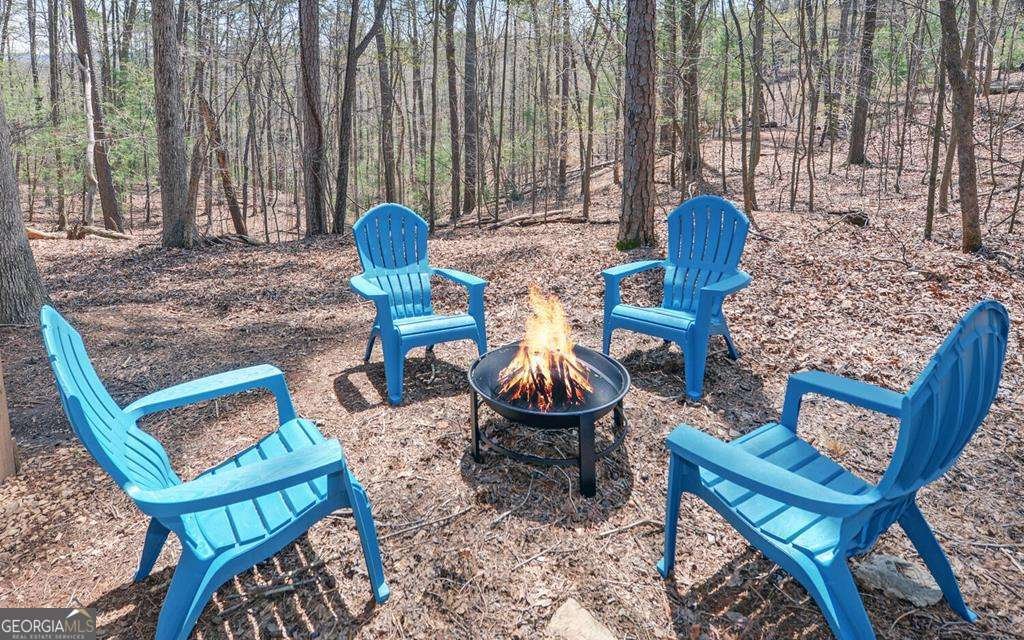 967 Lemmon Lane Ellijay - 38