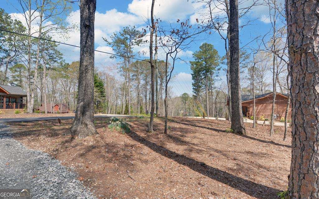 967 Lemmon Lane Ellijay - 41