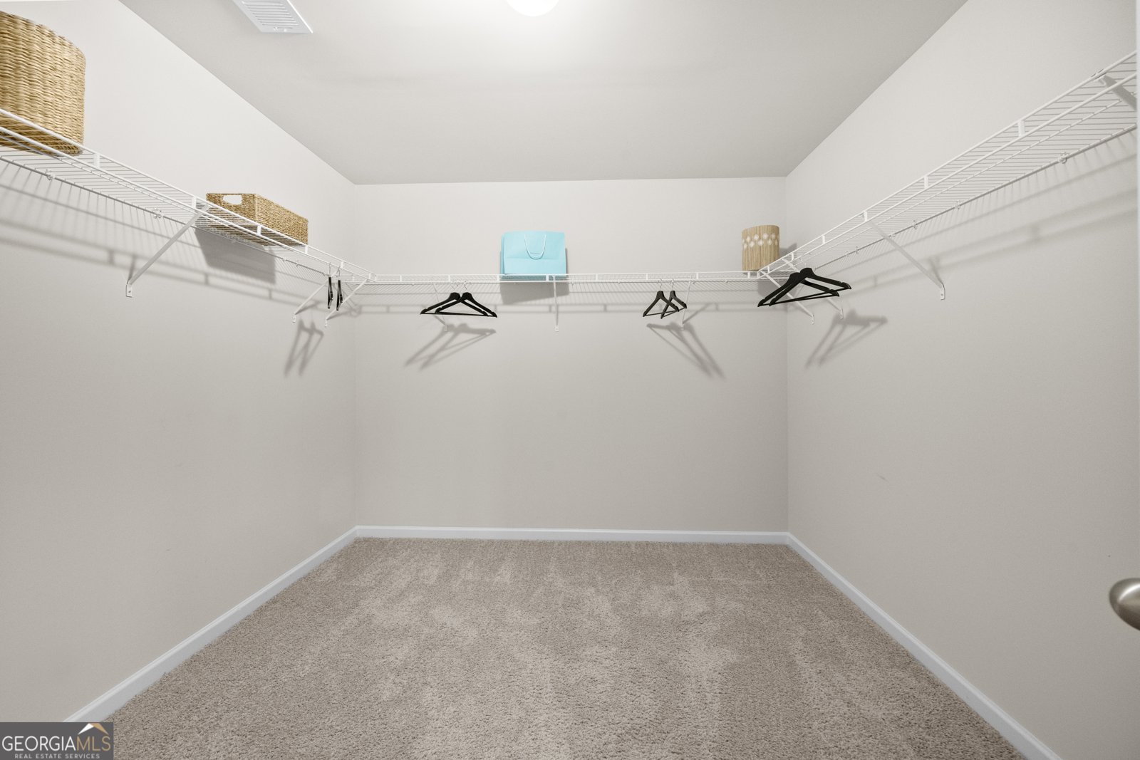243 PRESIDENTS Way Forsyth - 17
