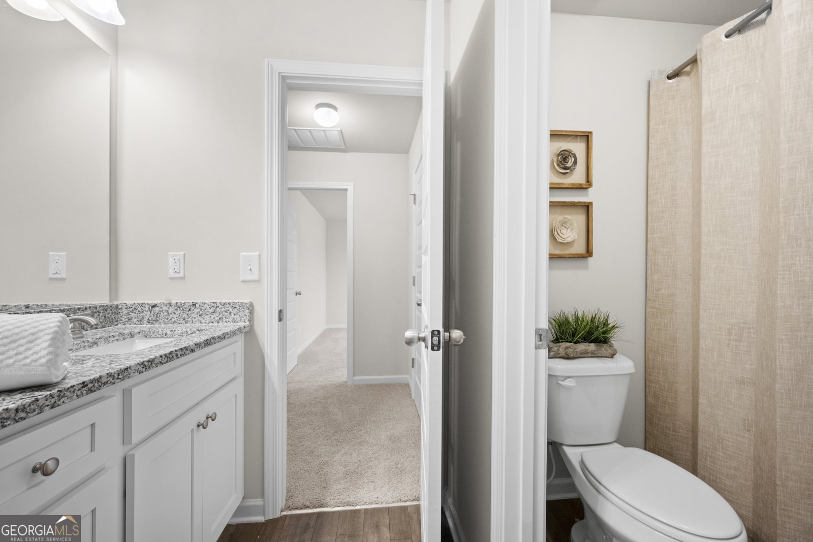 243 PRESIDENTS Way Forsyth - 29