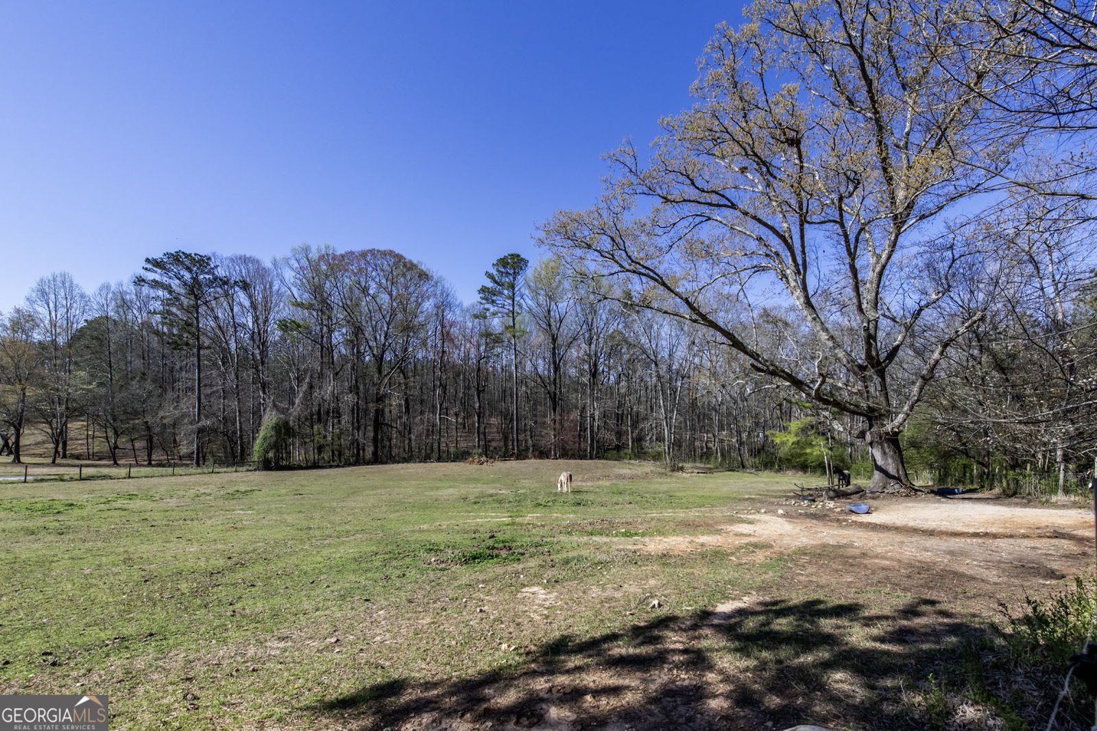 689 Hardin Road Temple - 45