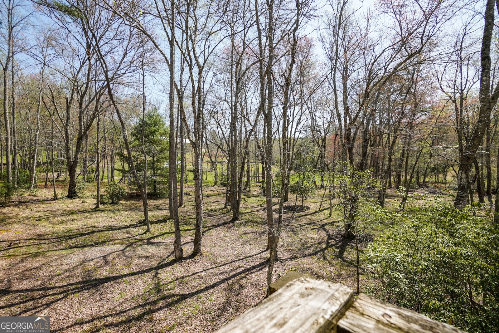 136 Honeybell Lane Blairsville - 66