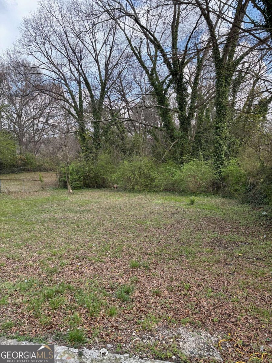 1895 thomasville Drive Atlanta - 45