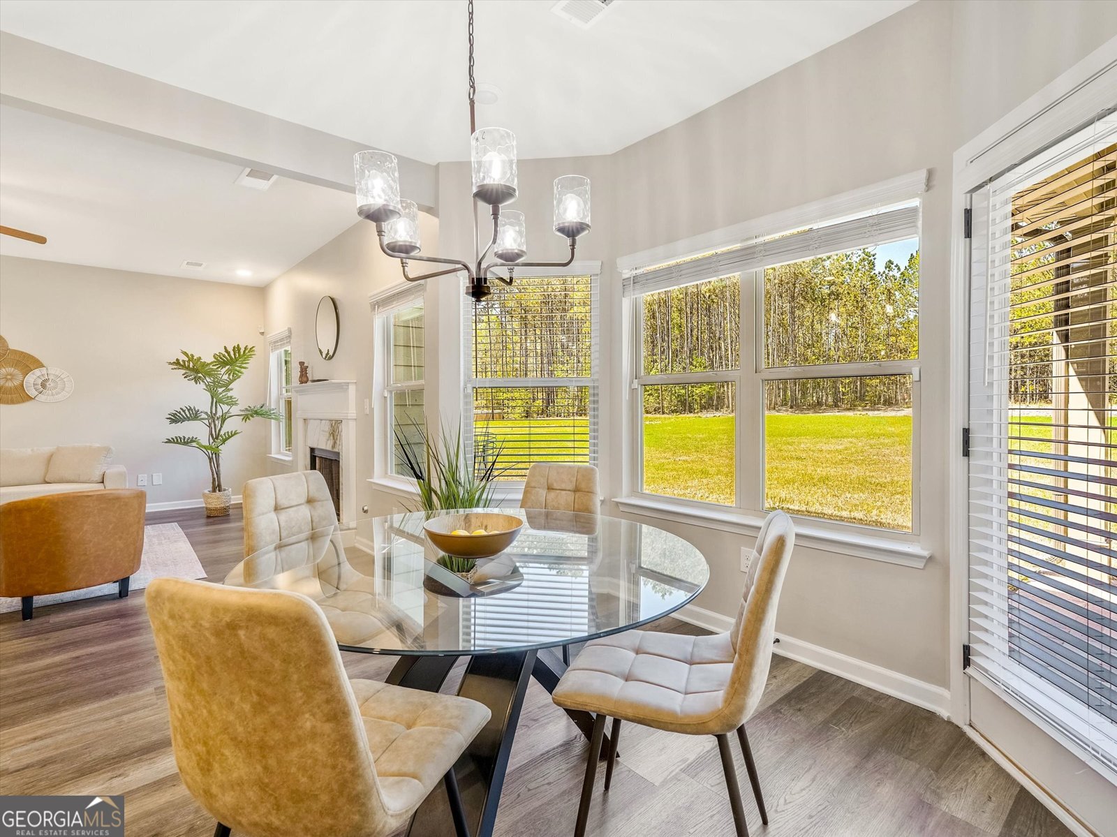 125 Leverett Court Fayetteville - 19