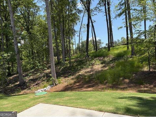 3383 MILAN Court Douglasville - Photo 34