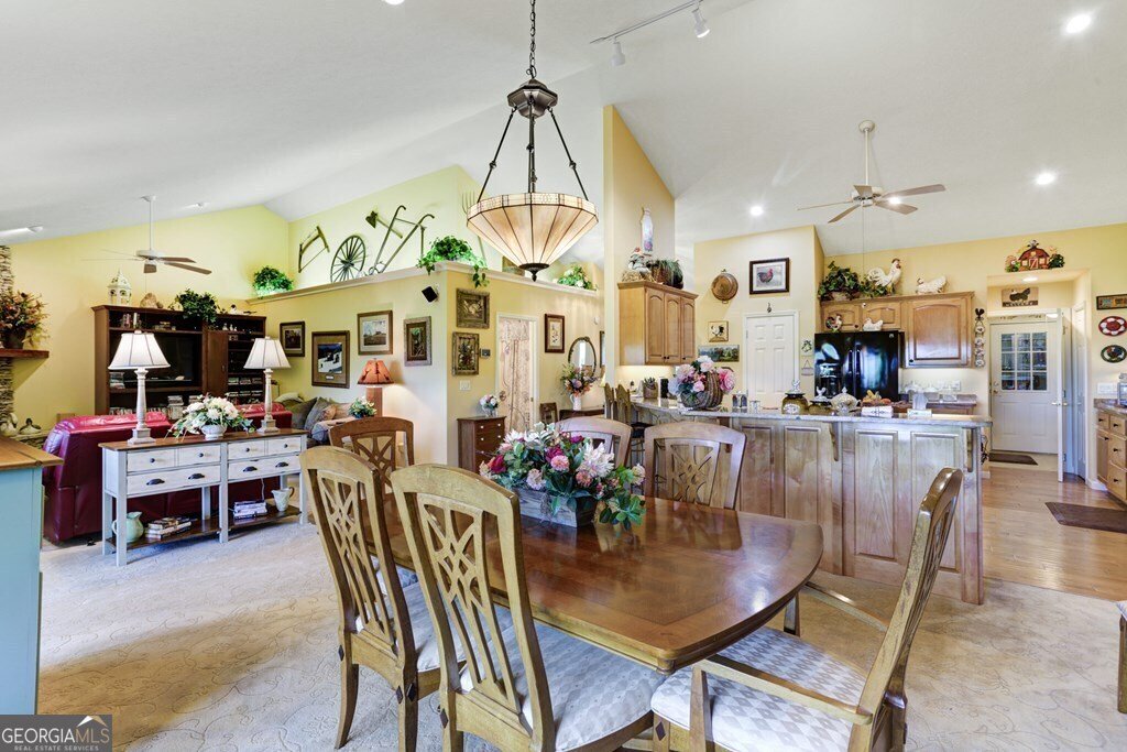 847 Scarlett Way Young Harris - 11