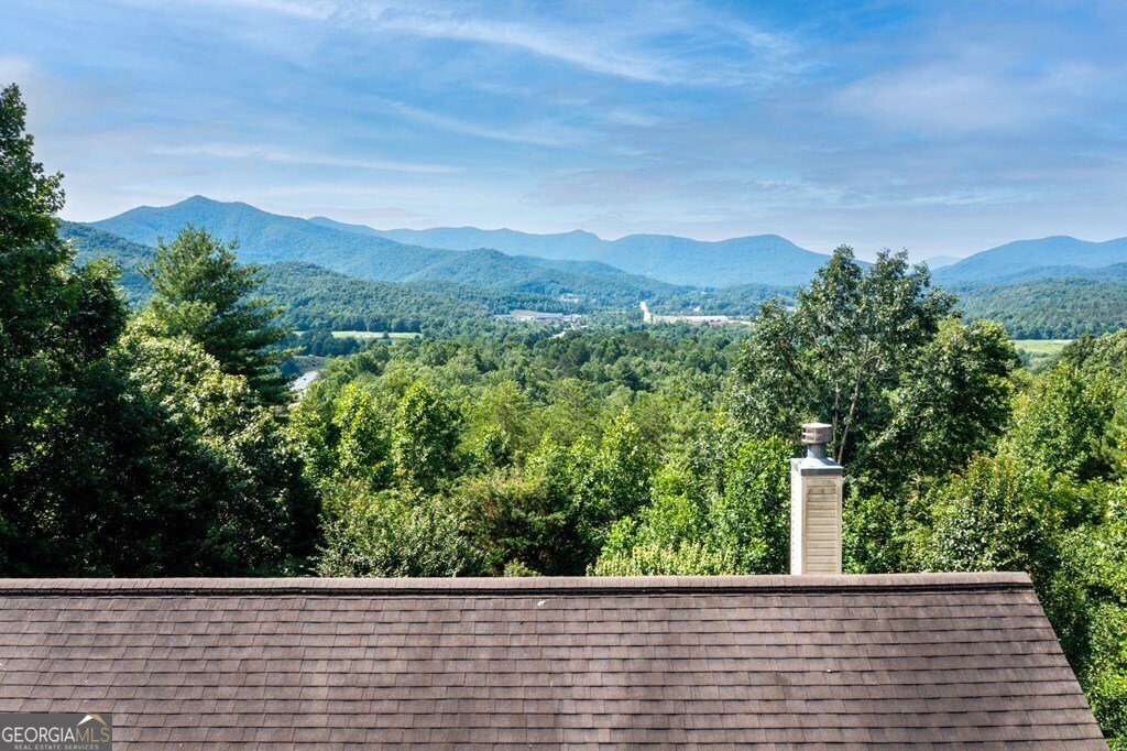 847 Scarlett Way Young Harris - 45