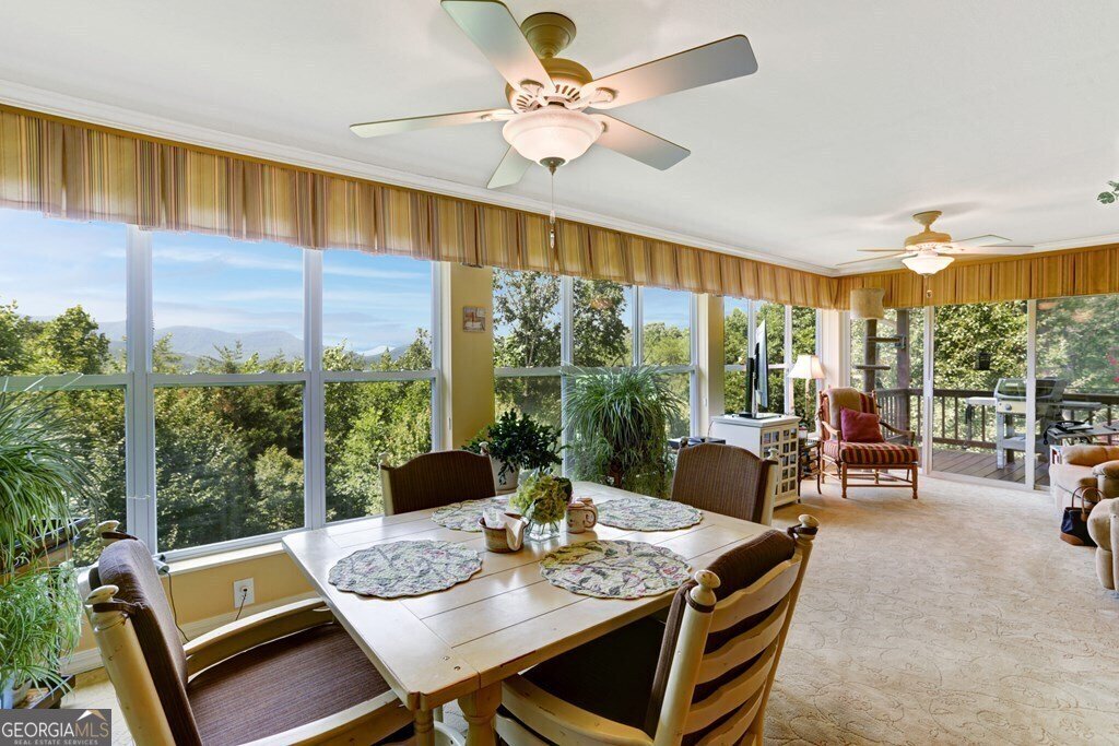 847 Scarlett Way Young Harris - 5