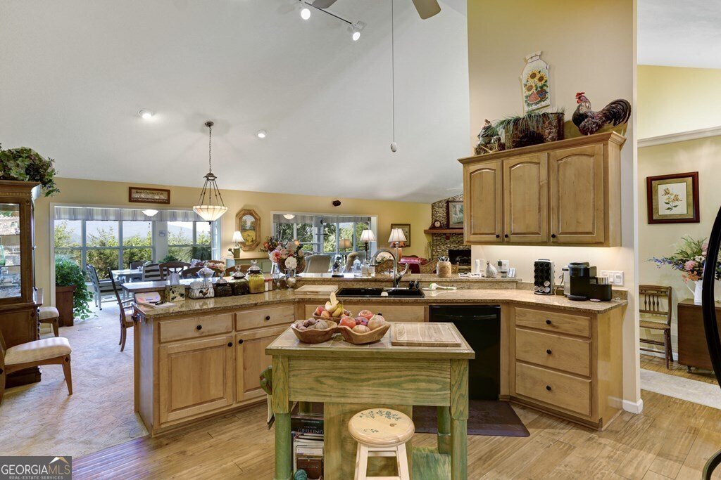 847 Scarlett Way Young Harris - 9