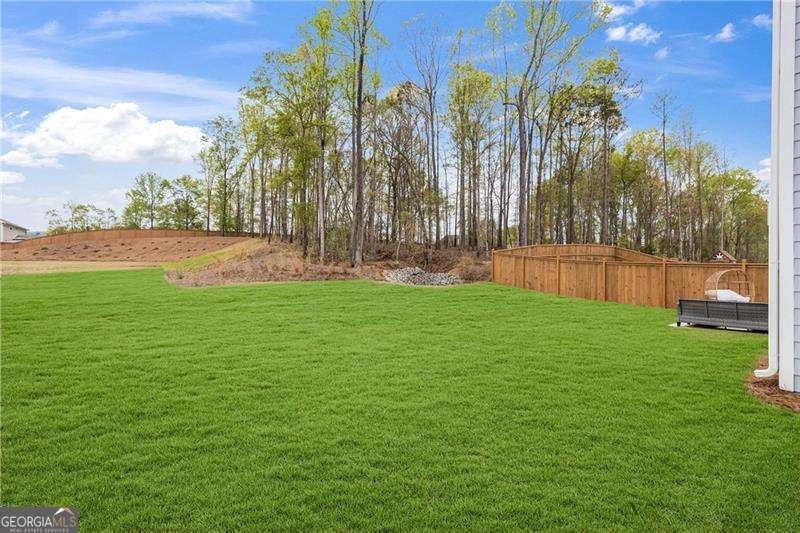 1279 Liberty Park Drive Braselton - 31