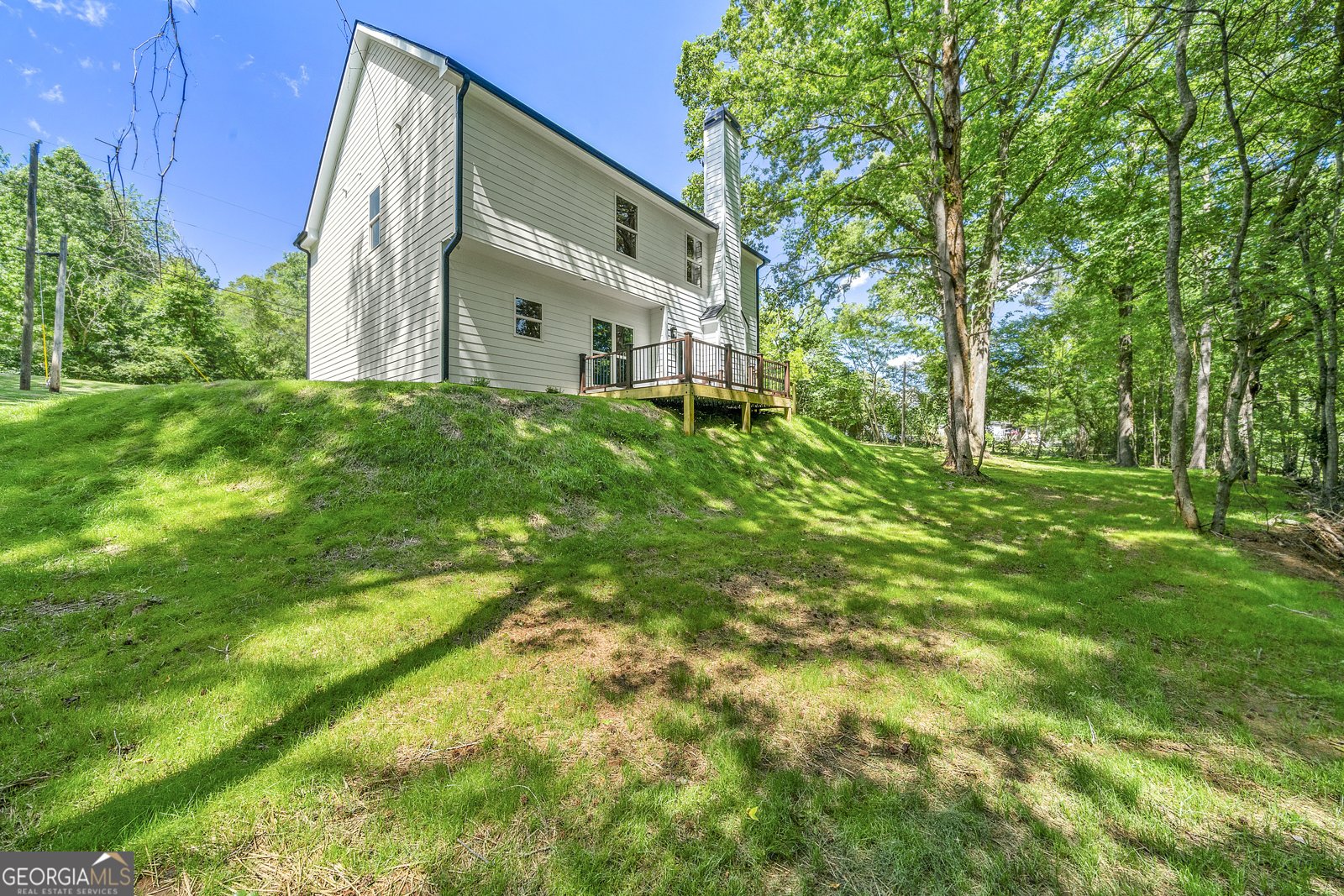 77 Shelnut Way Newnan - 3