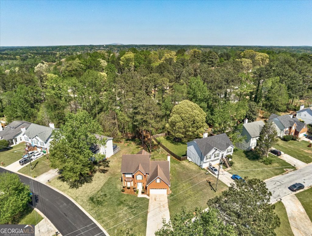 3612 River Mill Court Ellenwood - 52