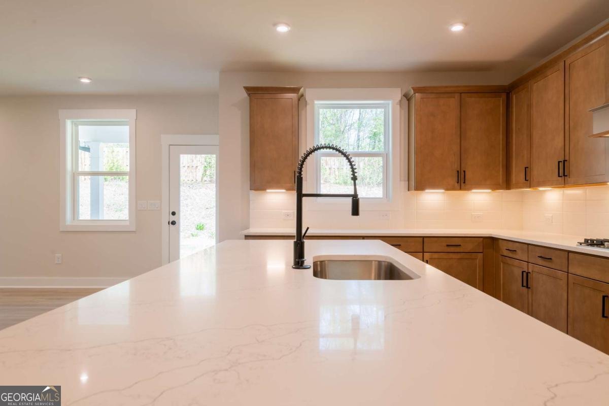 3962 Adler Circle Buford - 20