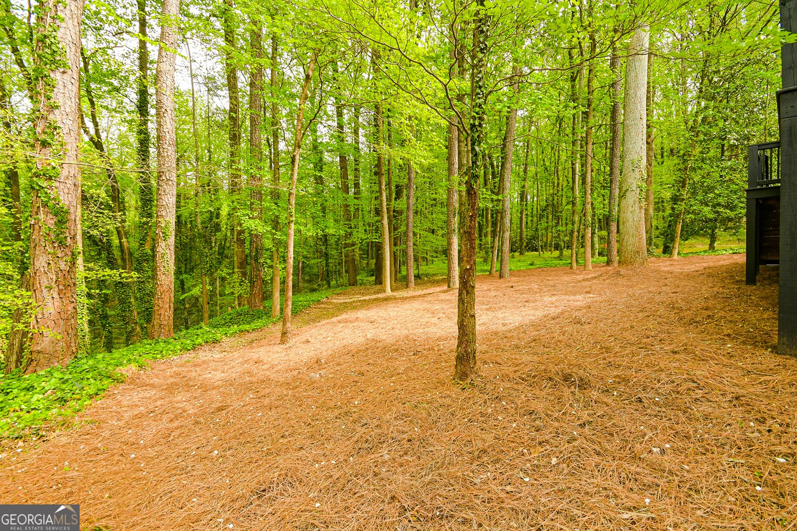 2433 Helmsdale Drive Atlanta - 5