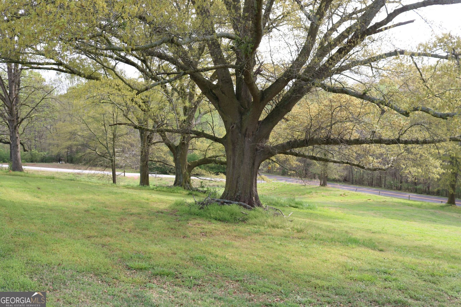 1241 Manley Martin Road Danielsville - 5
