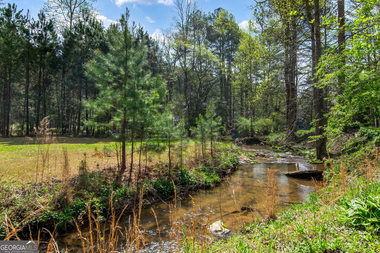 530 Dover Chapel Terrace Ellijay - 4