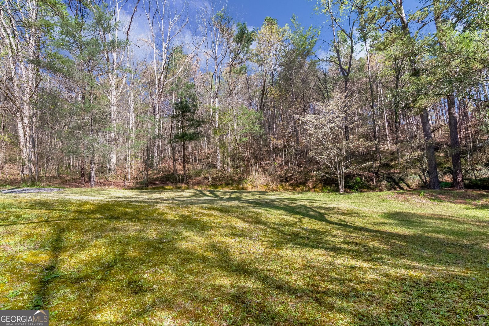 530 Dover Chapel Terrace Ellijay - 54