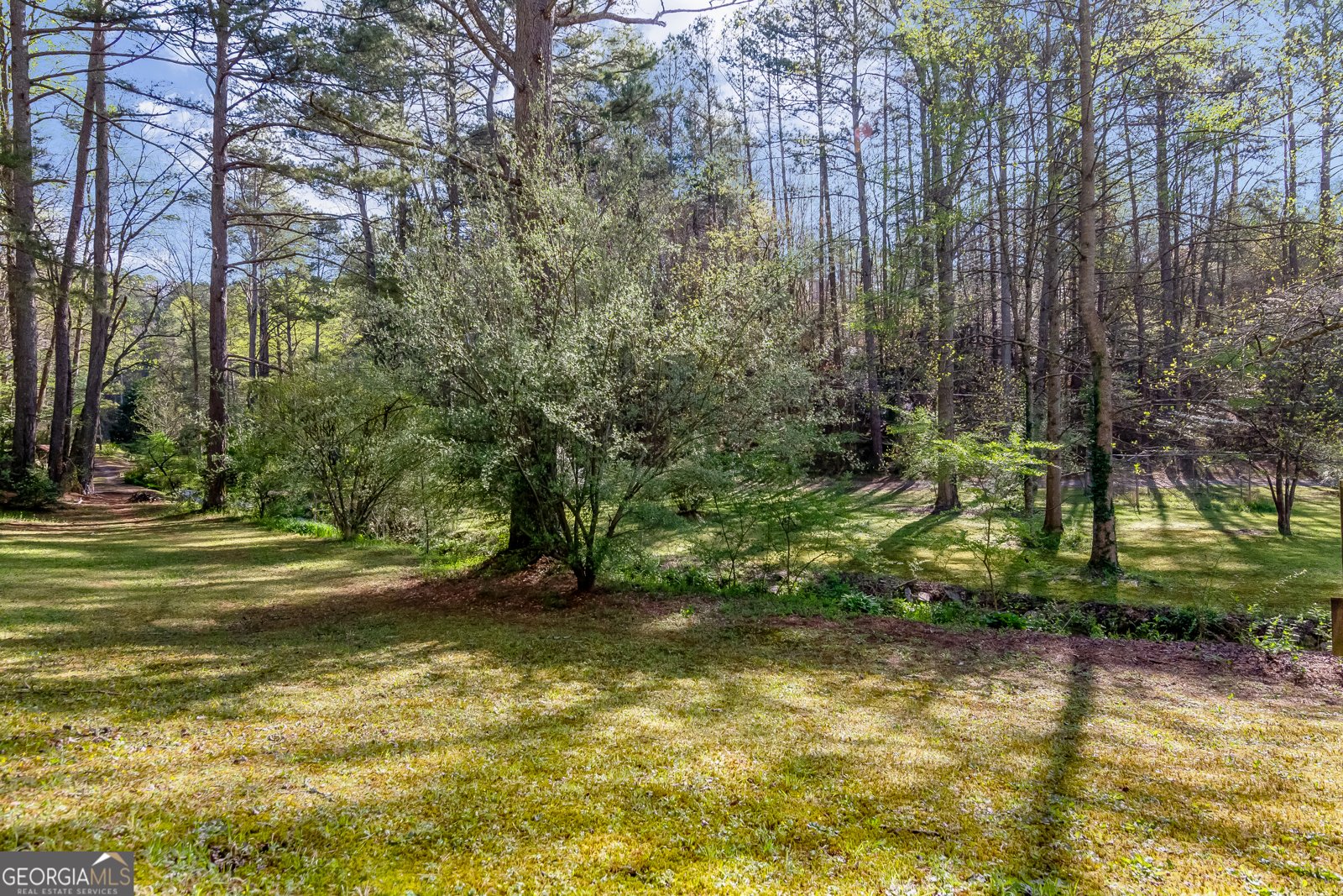 530 Dover Chapel Terrace Ellijay - 55