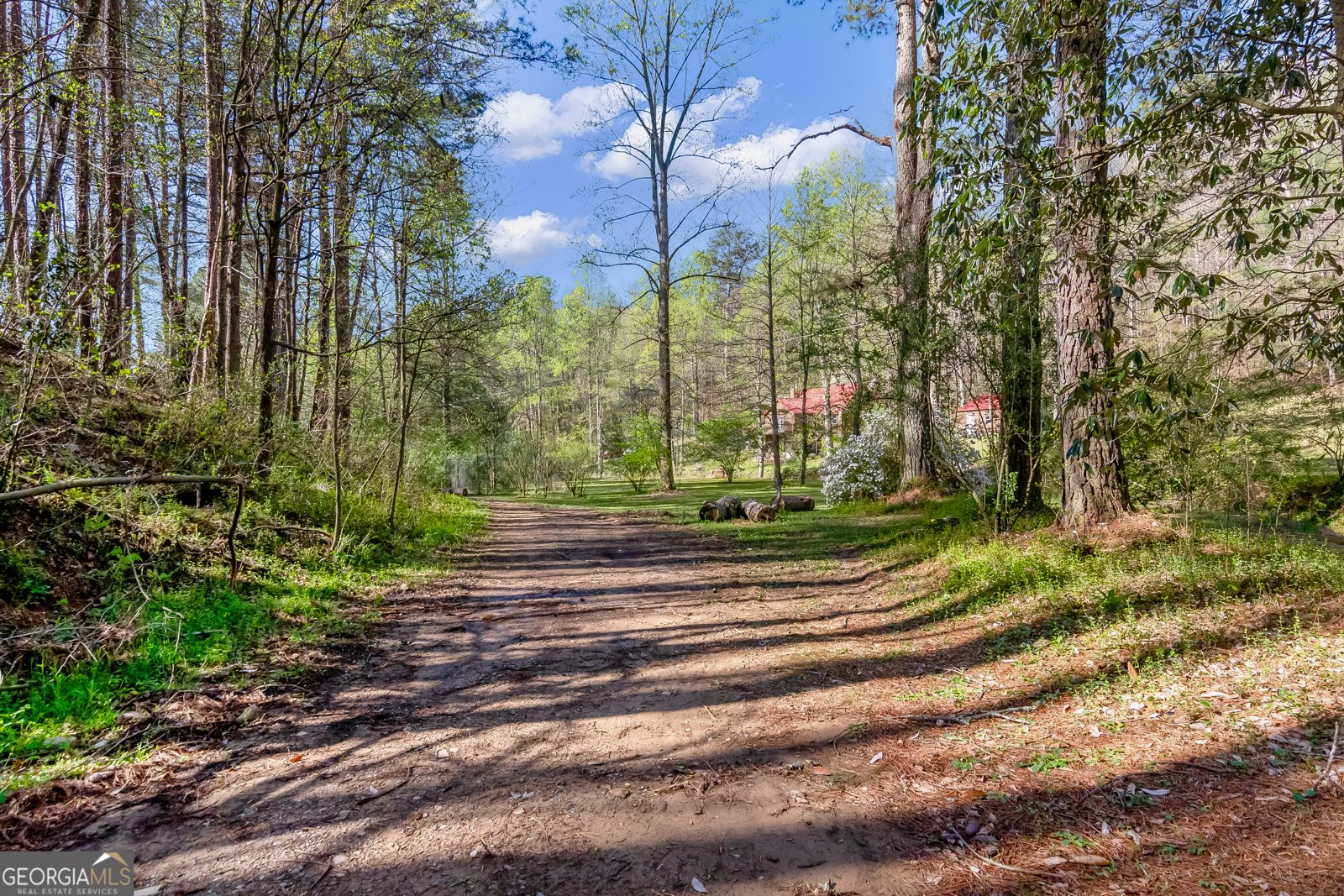 530 Dover Chapel Terrace Ellijay - 58