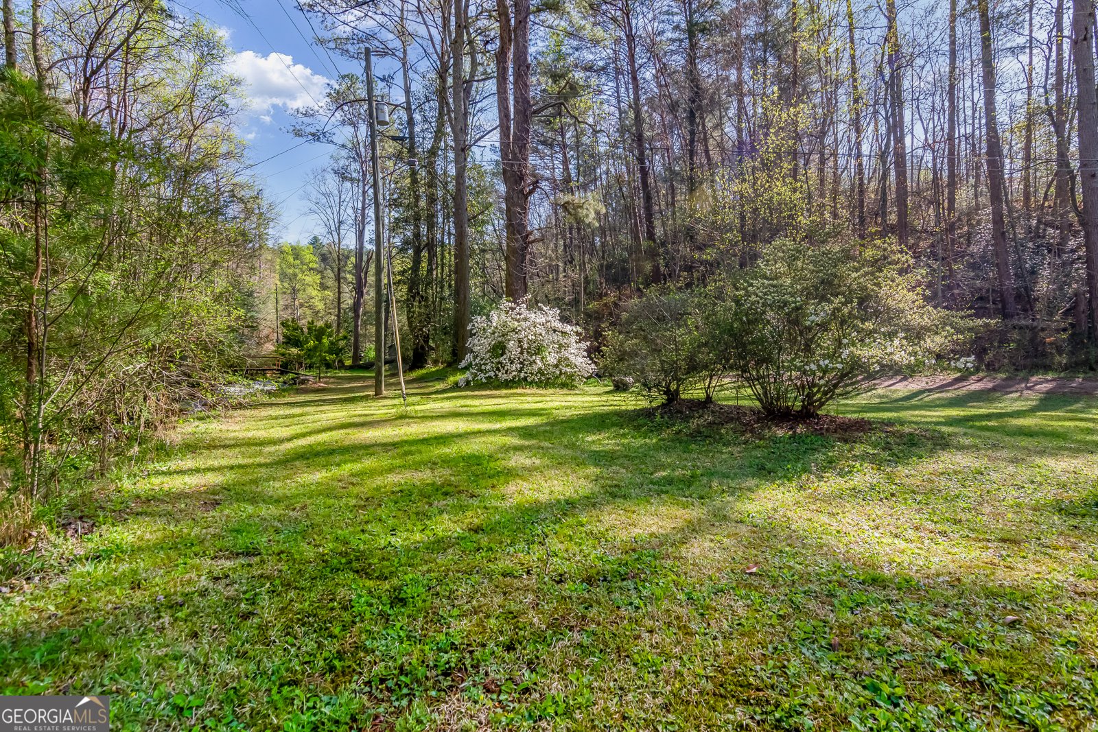 530 Dover Chapel Terrace Ellijay - 59