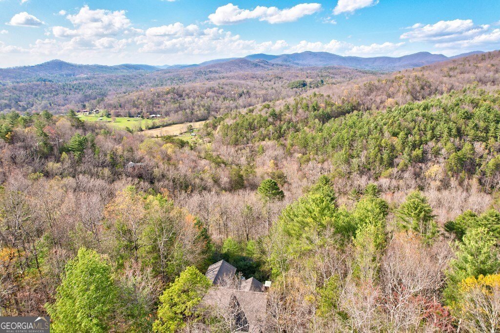 425 Rhonda Lane Mineral Bluff - 19