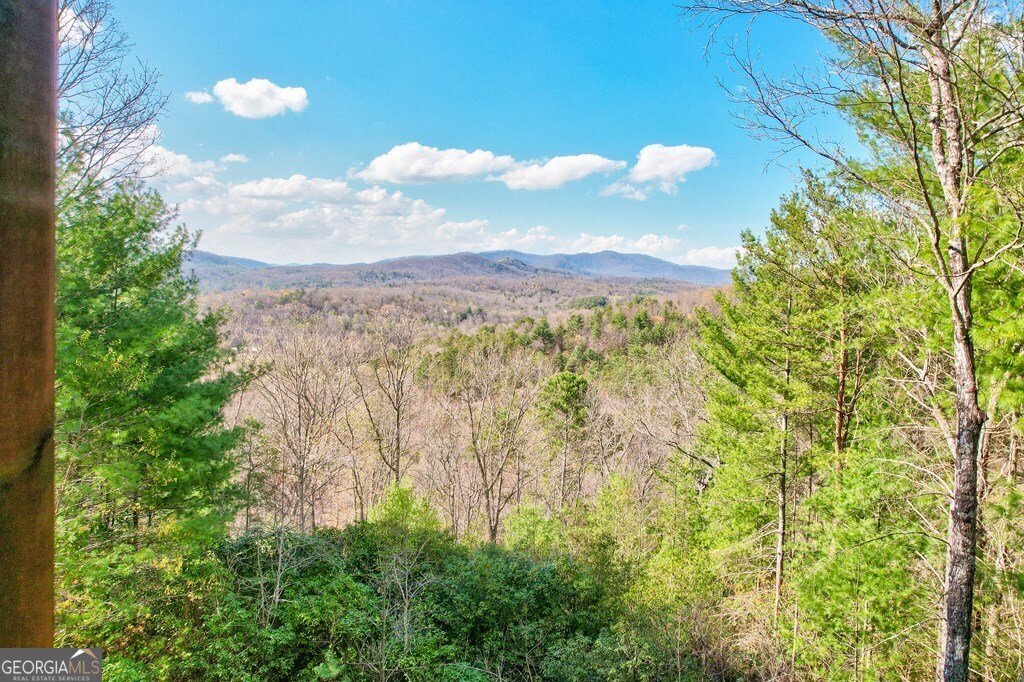 425 Rhonda Lane Mineral Bluff - 56