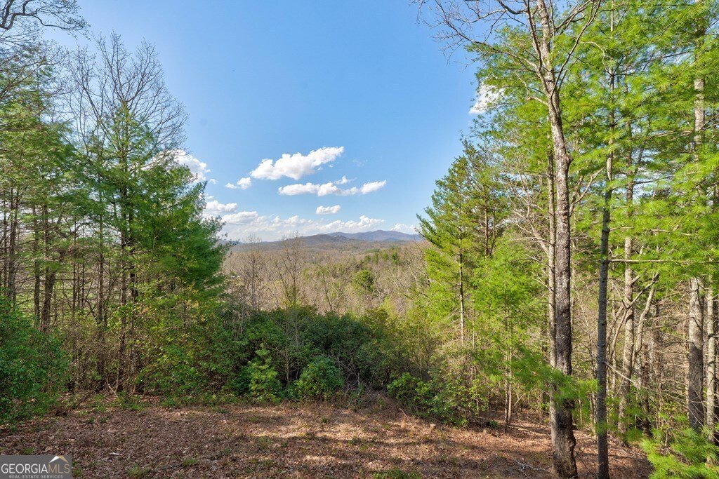 425 Rhonda Lane Mineral Bluff - 57