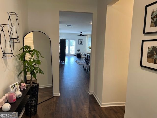 137 Grafton Street Hampton - 3