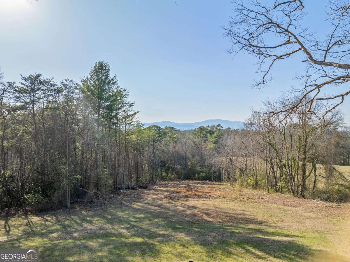 340 LaVista Drive Blue Ridge - 32