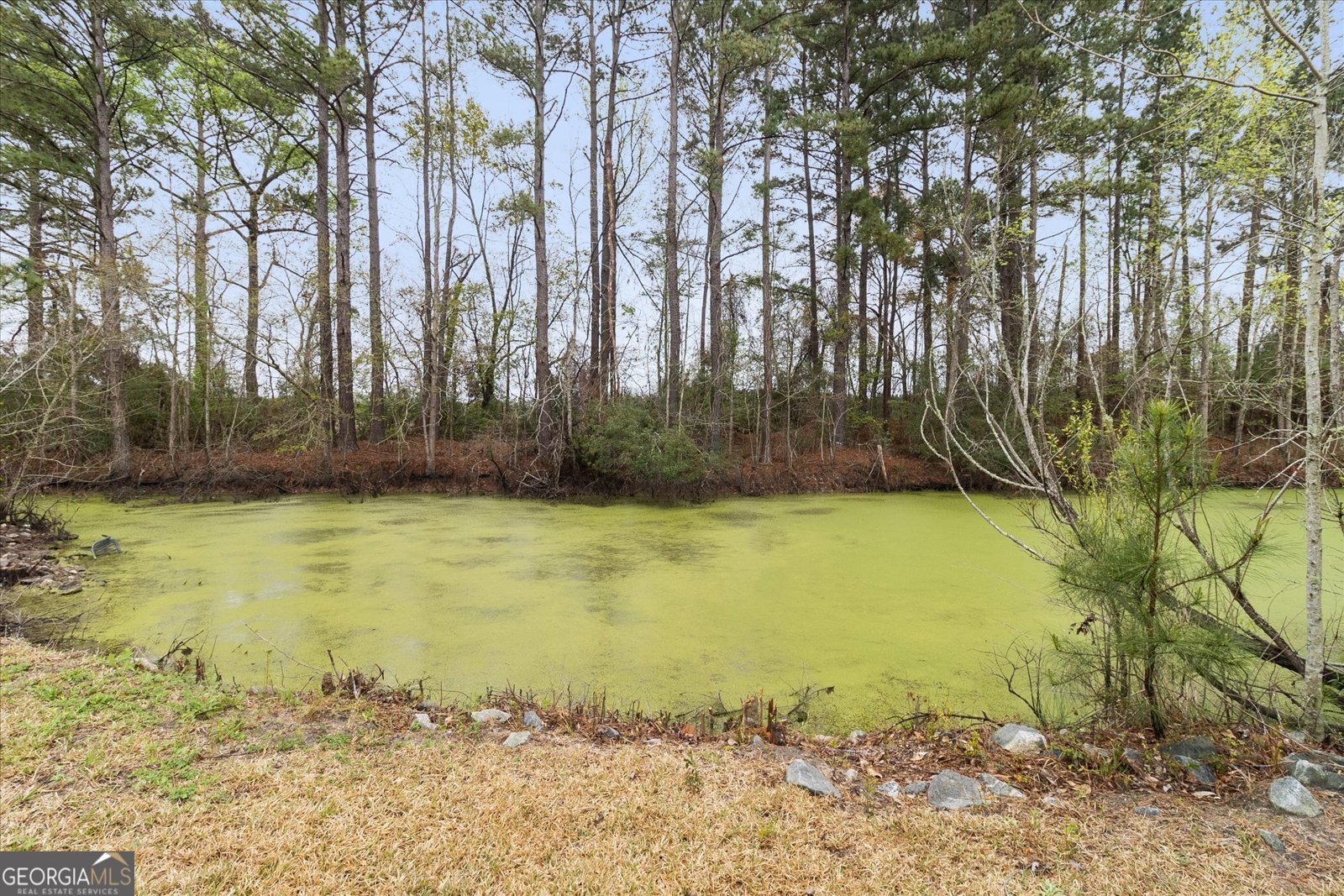 4342 Mud Road Brooklet - 40