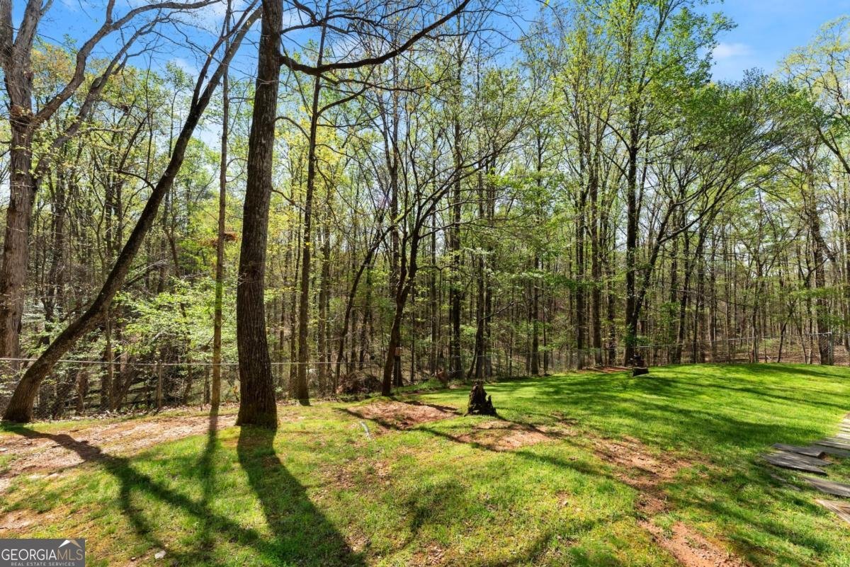 3050 Burt Creek Road Dawsonville - 32