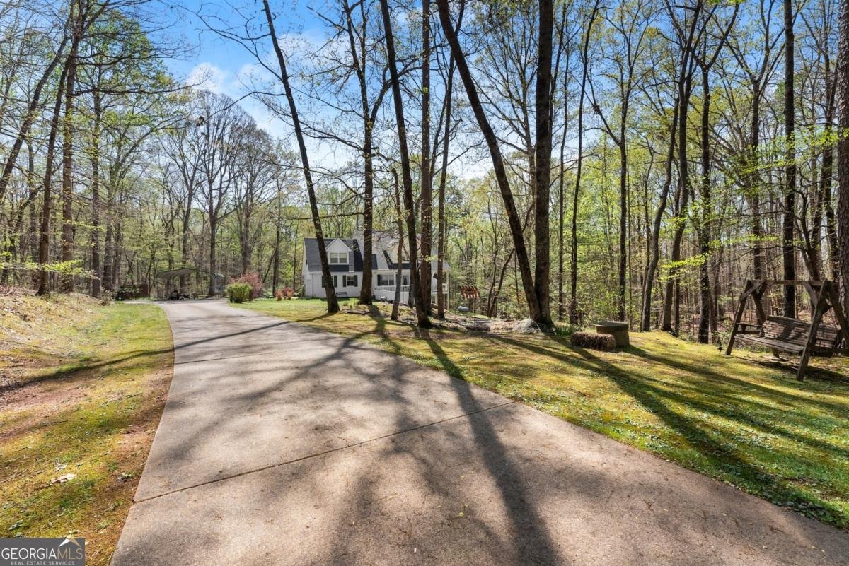 3050 Burt Creek Road Dawsonville - 38