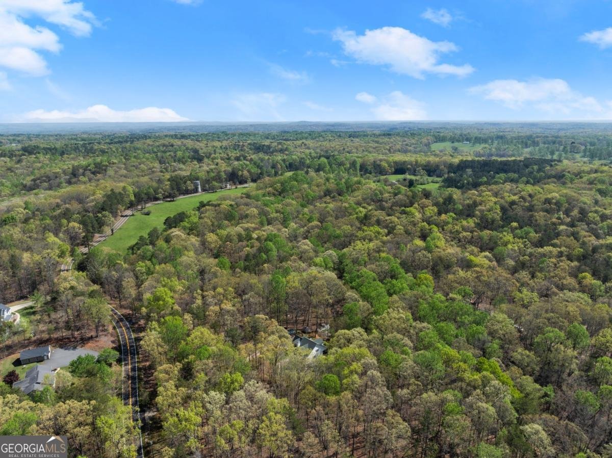 3050 Burt Creek Road Dawsonville - 42