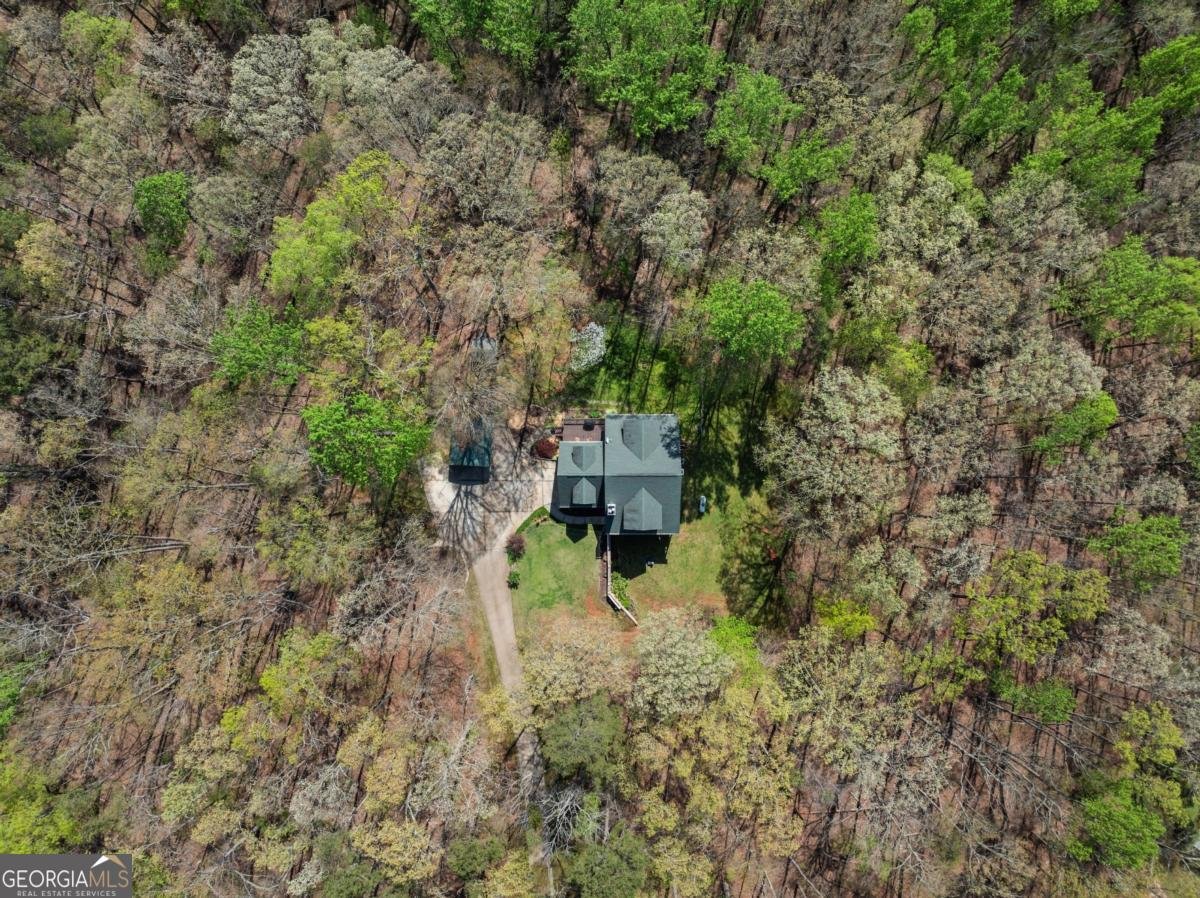 3050 Burt Creek Road Dawsonville - 43