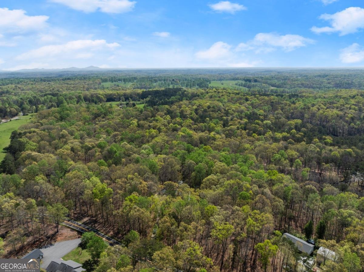 3050 Burt Creek Road Dawsonville - 44