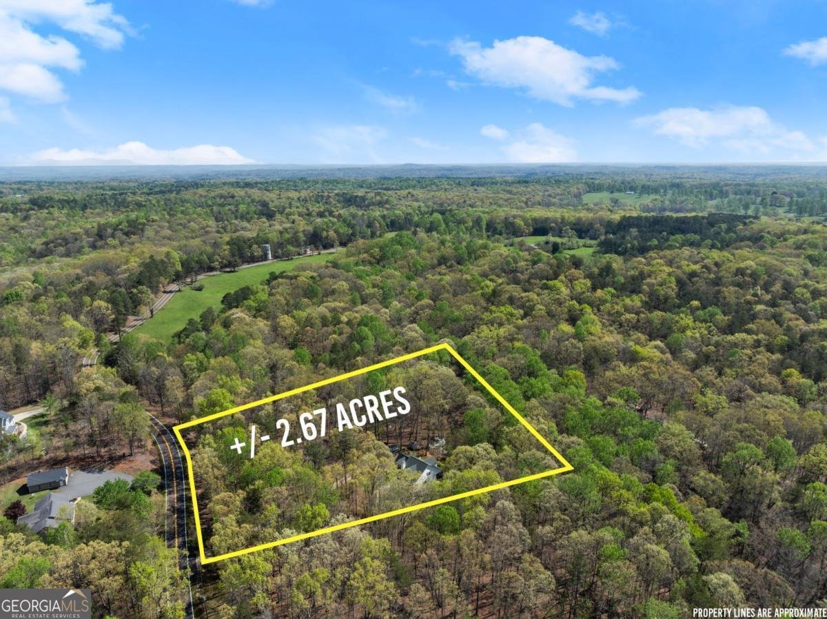 3050 Burt Creek Road Dawsonville - 45