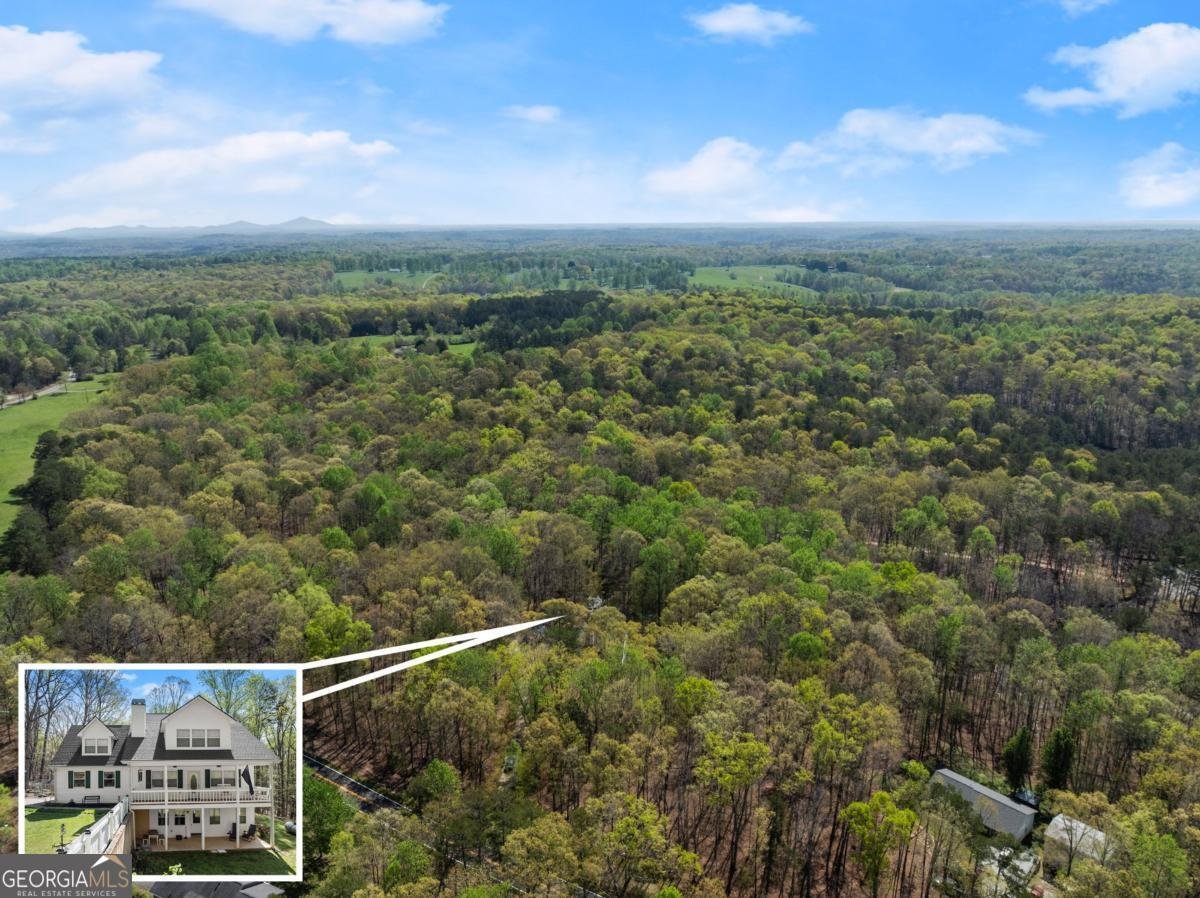 3050 Burt Creek Road Dawsonville - 46
