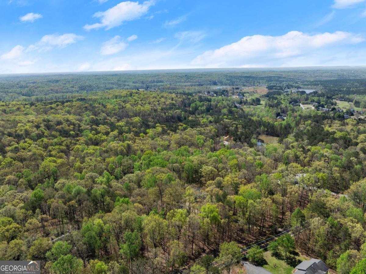 3050 Burt Creek Road Dawsonville - 47