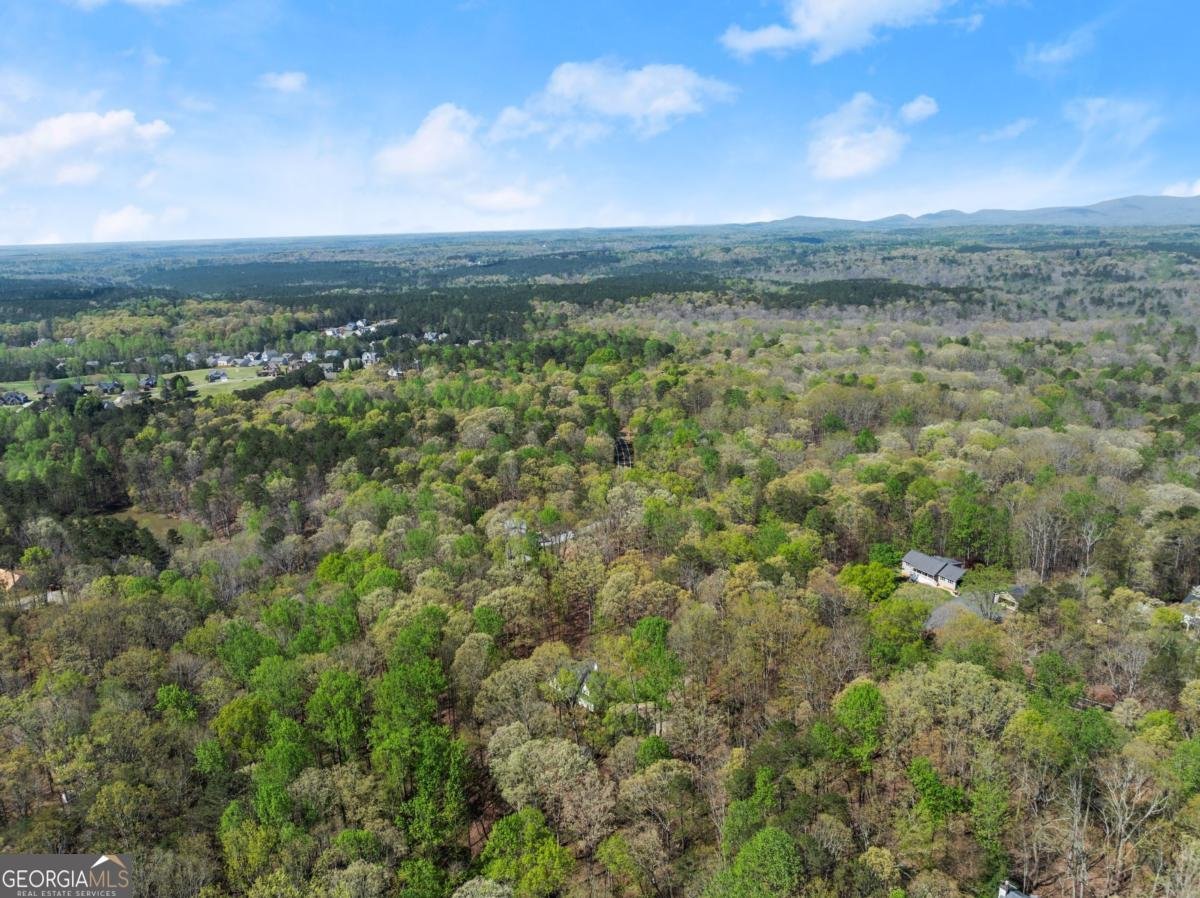 3050 Burt Creek Road Dawsonville - 48