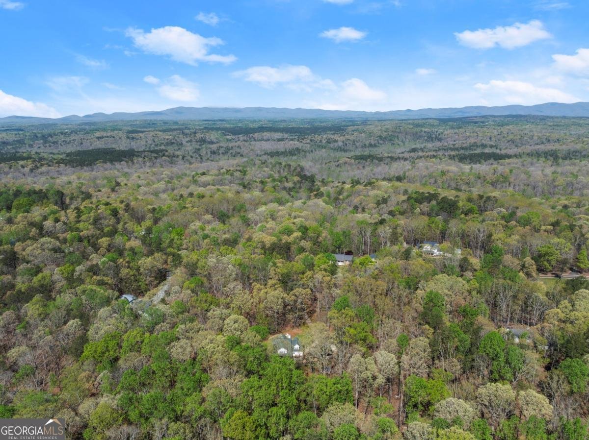3050 Burt Creek Road Dawsonville - 49