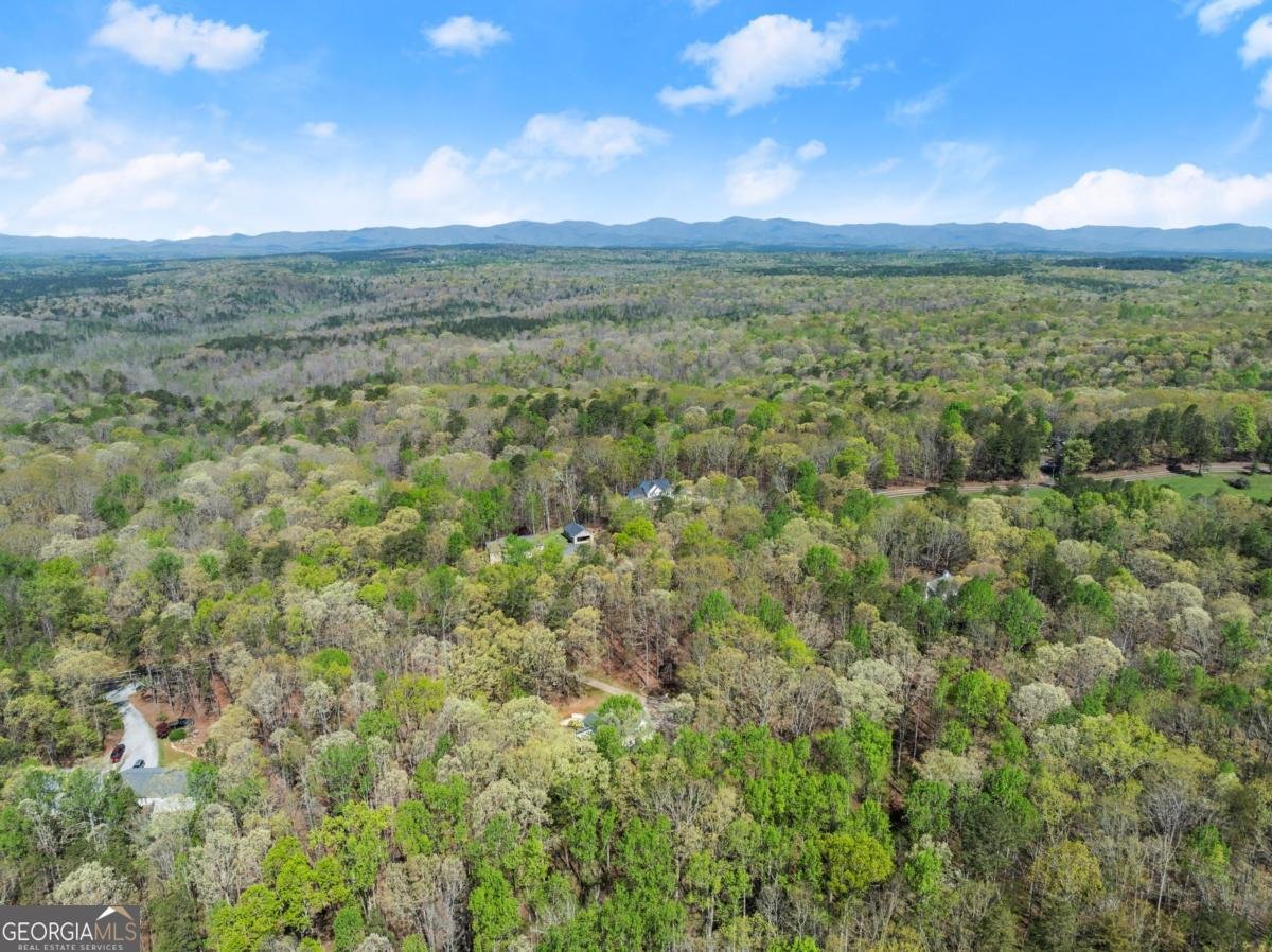 3050 Burt Creek Road Dawsonville - 50